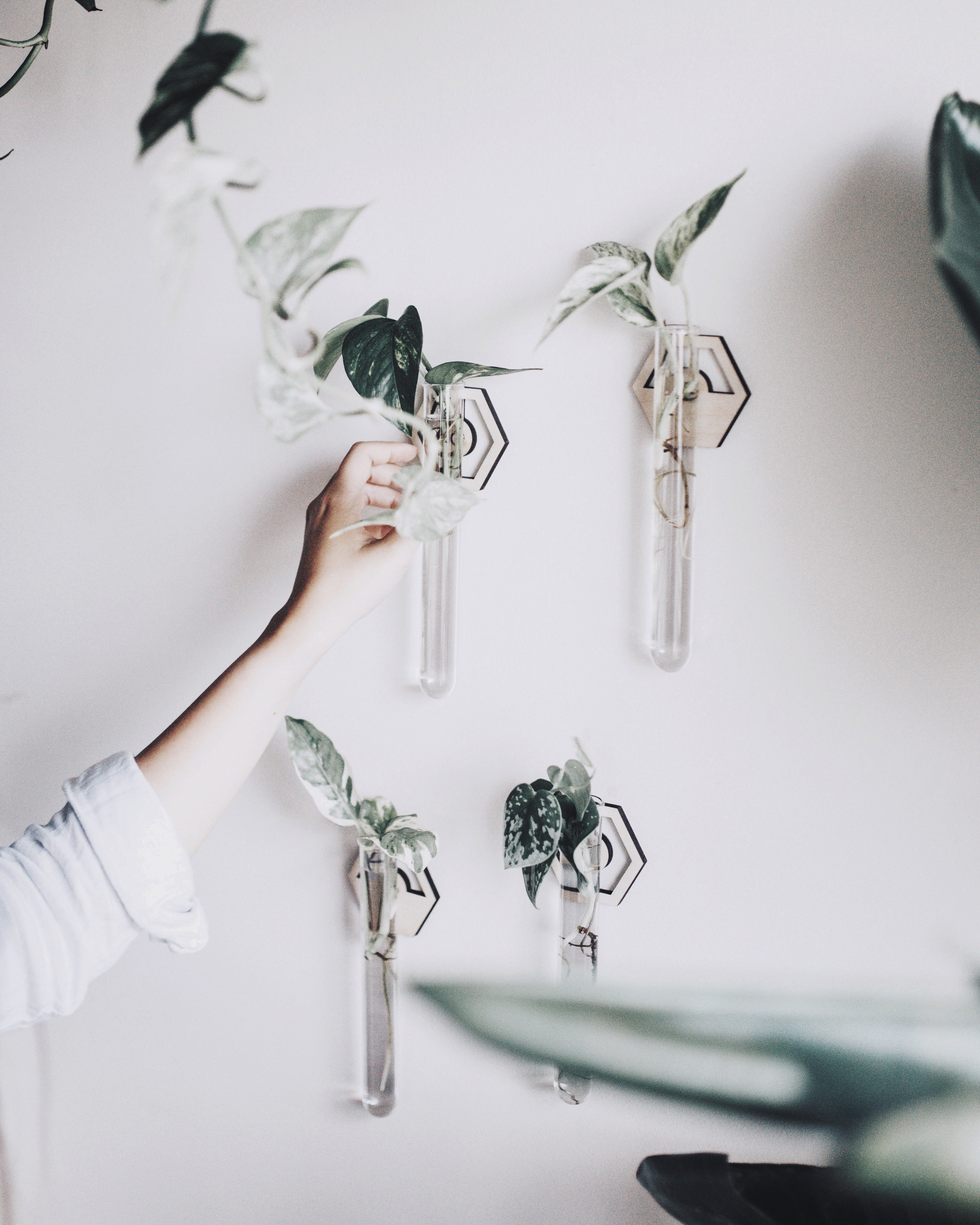 Modern Hexagon Hanging Propagation Station