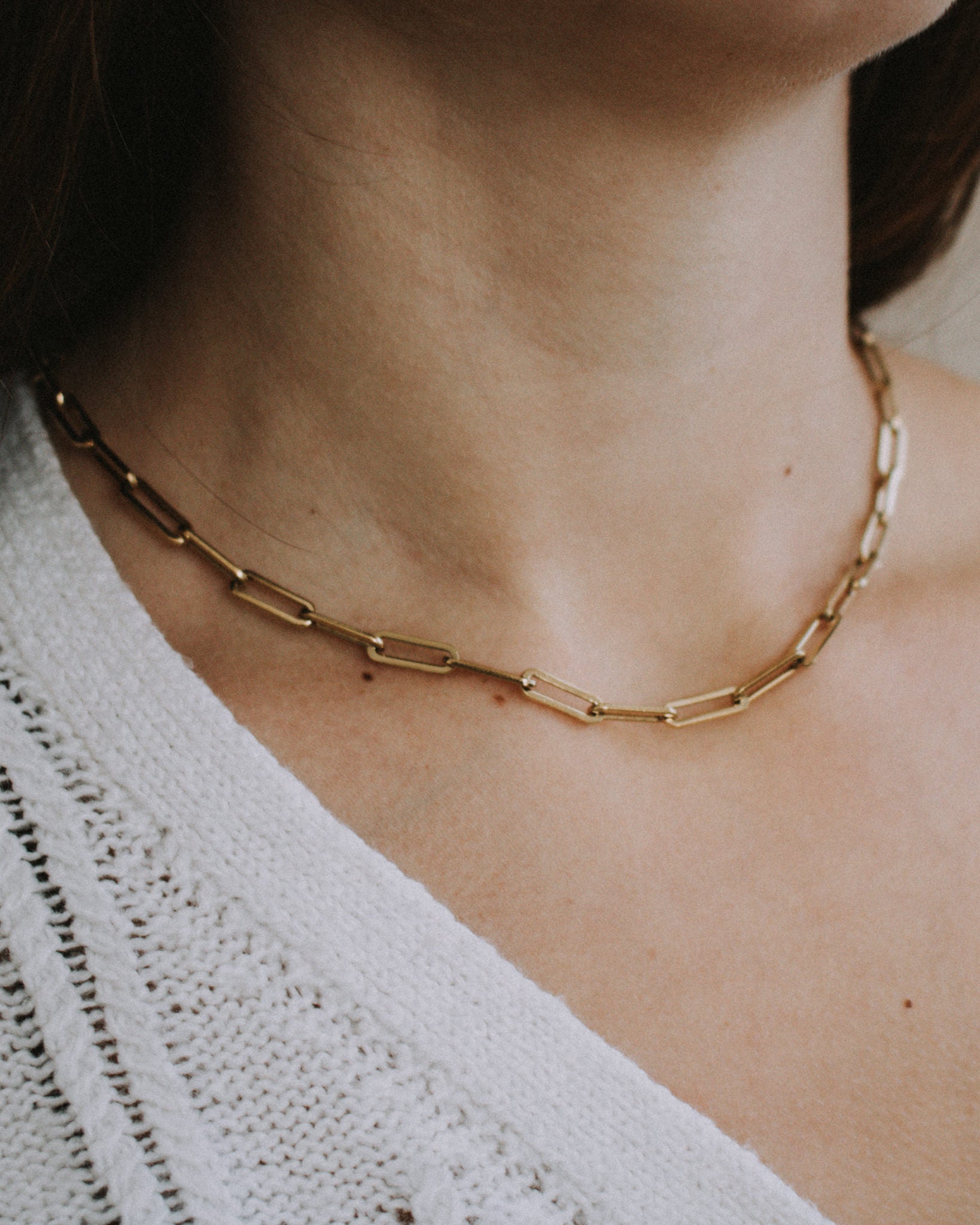 Paperclip Necklace