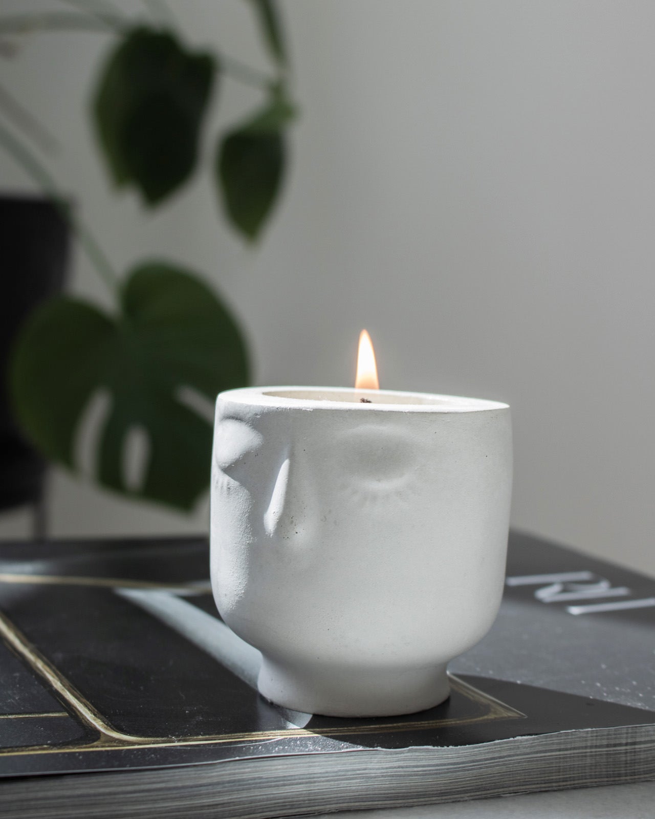 Take a Hike Coconut Soy Candle -  Modern Face Vessel