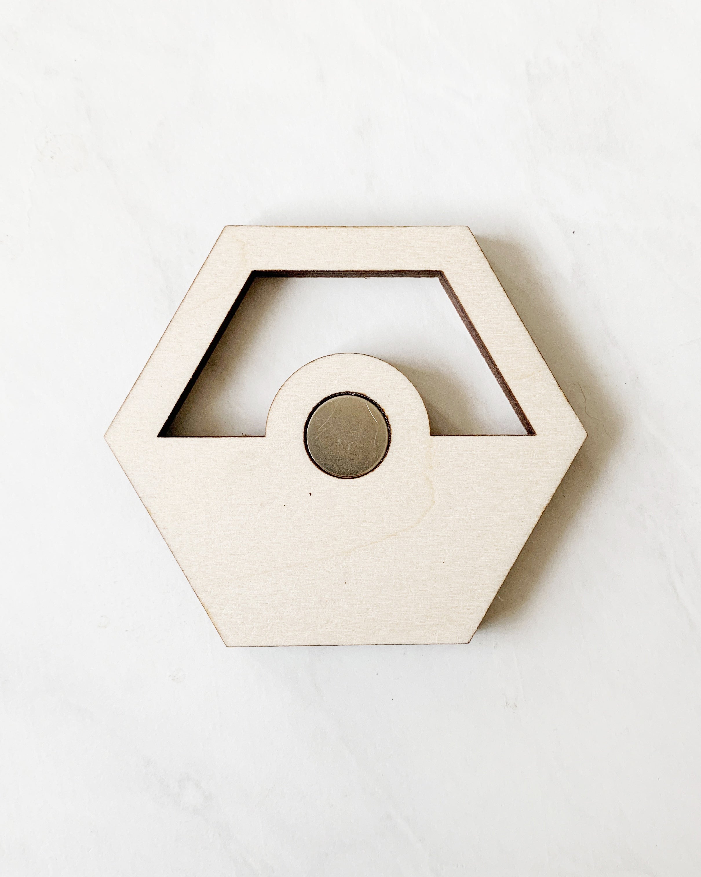 Bundle | Modern Hexagon Hanging Propagation Station
