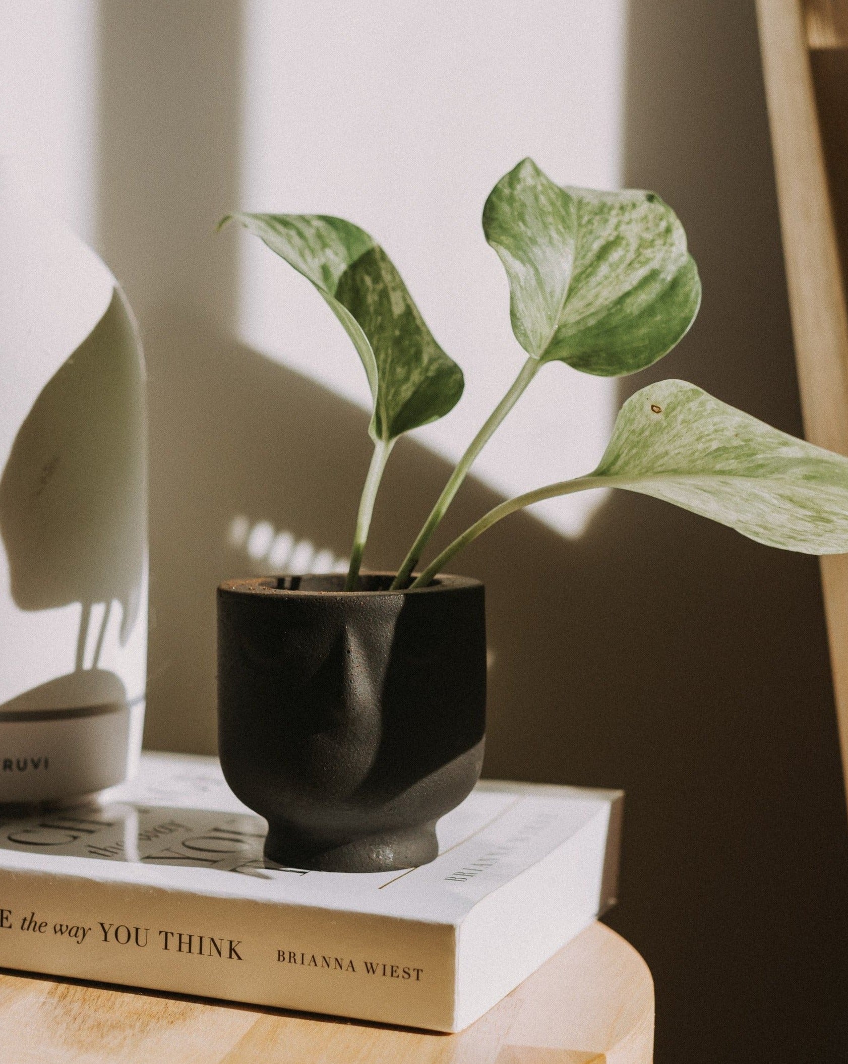 Mini Concrete Face Planter in Noir