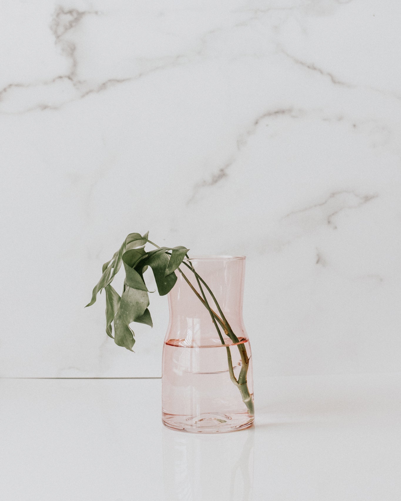 Glass Propagation Vase