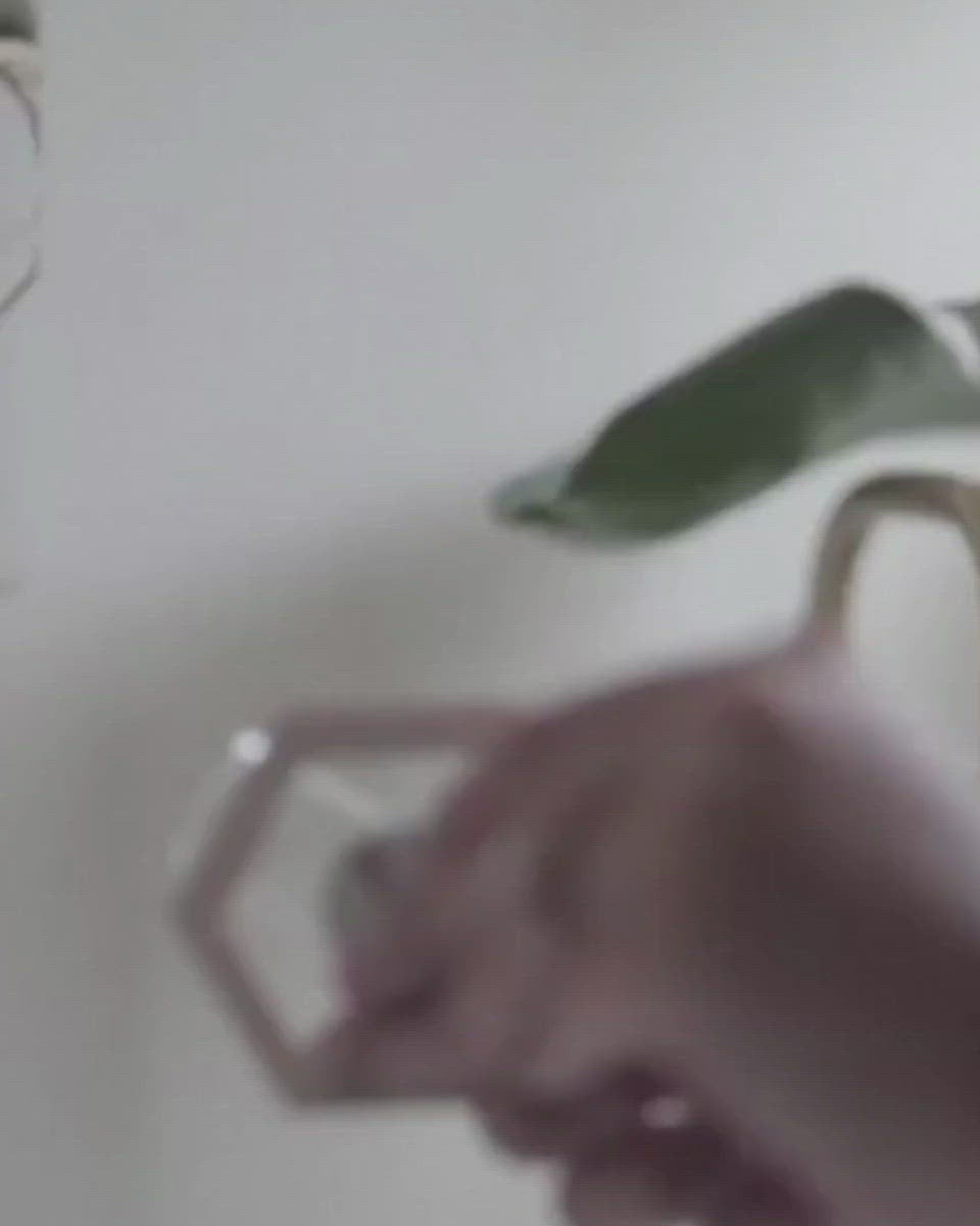 Bundle | Modern Hexagon Hanging Propagation Station