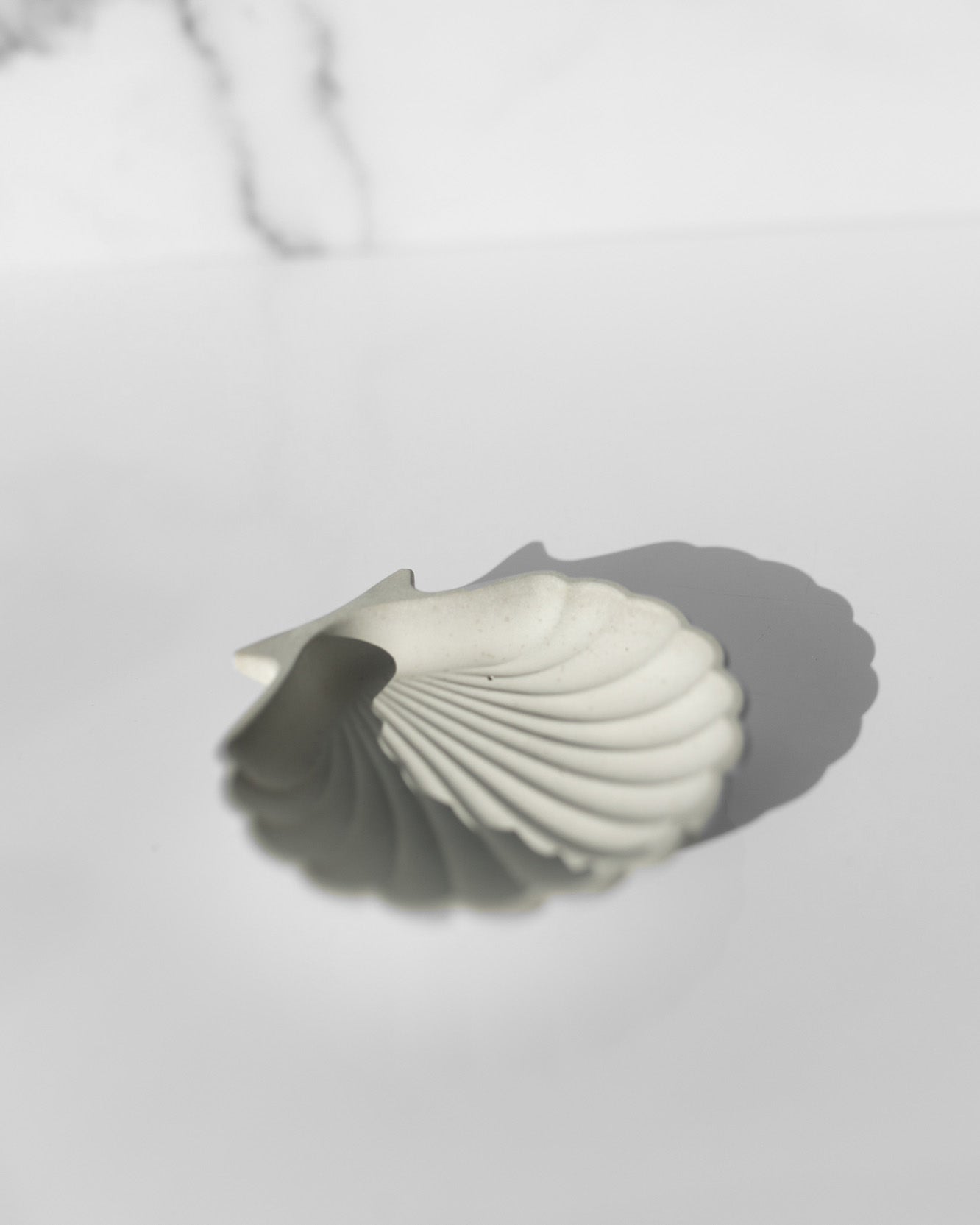 Concrete Seashell Tray